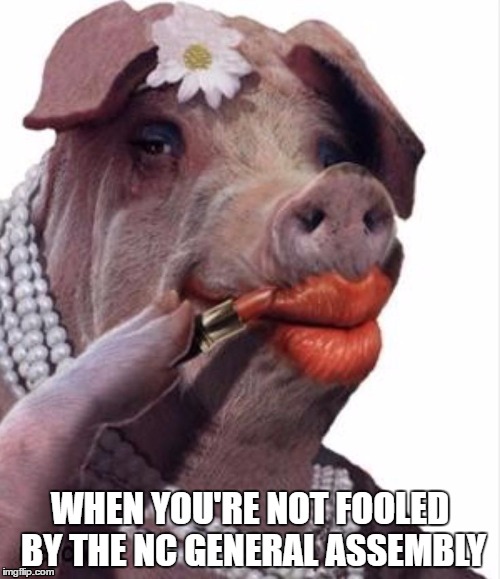 Lipstick on a pig | WHEN YOU'RE NOT FOOLED BY THE NC GENERAL ASSEMBLY | image tagged in lipstick on a pig | made w/ Imgflip meme maker