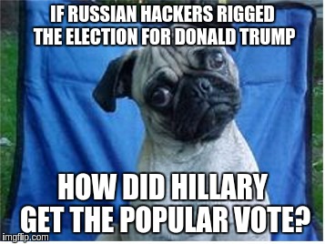 Huh? | IF RUSSIAN HACKERS RIGGED THE ELECTION FOR DONALD TRUMP; HOW DID HILLARY GET THE POPULAR VOTE? | image tagged in huh | made w/ Imgflip meme maker