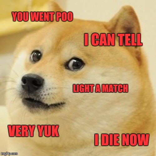 Doge Meme | YOU WENT POO; I CAN TELL; LIGHT A MATCH; VERY YUK; I DIE NOW | image tagged in memes,doge | made w/ Imgflip meme maker