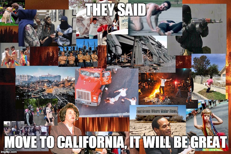 california | THEY SAID; MOVE TO CALIFORNIA, IT WILL BE GREAT | image tagged in california | made w/ Imgflip meme maker