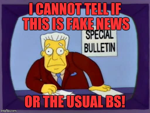 Kent Brockman Bulletin | I CANNOT TELL IF THIS IS FAKE NEWS; OR THE USUAL BS! | image tagged in kent brockman bulletin | made w/ Imgflip meme maker