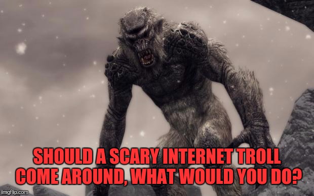 Skyrim Frost Troll | SHOULD A SCARY INTERNET TROLL COME AROUND, WHAT WOULD YOU DO? | image tagged in skyrim frost troll | made w/ Imgflip meme maker