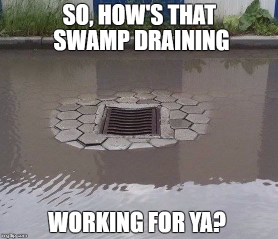 SO, HOW'S THAT SWAMP DRAINING; WORKING FOR YA? | image tagged in swamp drain trump | made w/ Imgflip meme maker