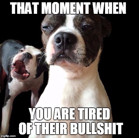 So tired of all the bs | image tagged in bullshit,funny dogs,funny,meme | made w/ Imgflip meme maker