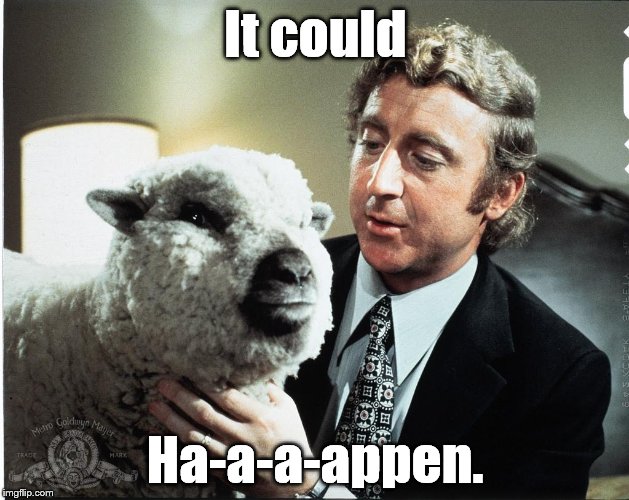 Baaa | It could Ha-a-a-appen. | image tagged in baaa | made w/ Imgflip meme maker