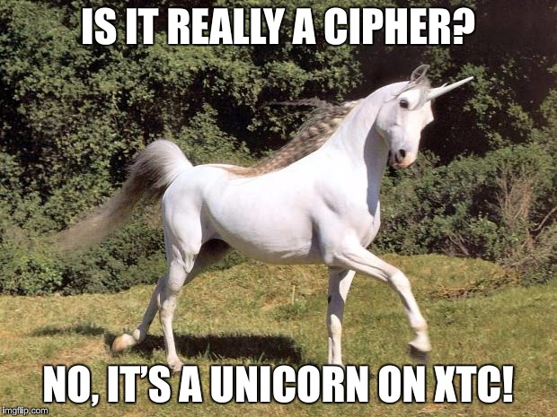 Is it really a cipher? |  IS IT REALLY A CIPHER? NO, IT’S A UNICORN ON XTC! | image tagged in unicorns,xtc,cipher,cryptography | made w/ Imgflip meme maker