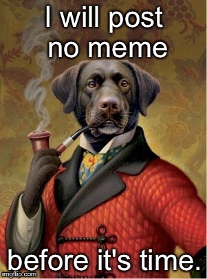 The laws of civilized memes | . | image tagged in memes,sophisticated dog,meme posting rules | made w/ Imgflip meme maker