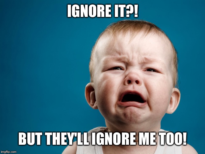 IGNORE IT?! BUT THEY'LL IGNORE ME TOO! | made w/ Imgflip meme maker