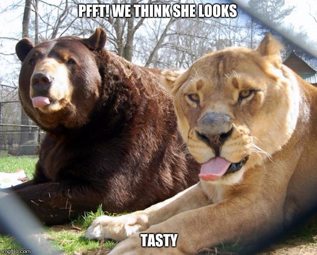 unlikely friends | PFFT! WE THINK SHE LOOKS TASTY | image tagged in unlikely friends | made w/ Imgflip meme maker