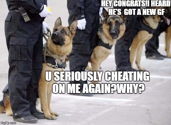 police dogs | HEY CONGRATS!I HEARD HE'S  GOT A NEW GF; U SERIOUSLY CHEATING ON ME AGAIN?WHY? | image tagged in police dogs | made w/ Imgflip meme maker