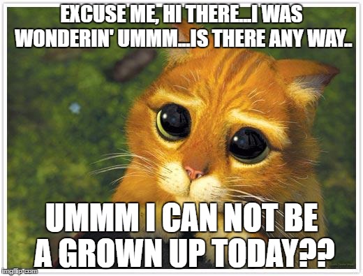 Shrek Cat Meme | EXCUSE ME, HI THERE...I WAS WONDERIN' UMMM...IS THERE ANY WAY.. UMMM I CAN NOT BE A GROWN UP TODAY?? | image tagged in memes,shrek cat | made w/ Imgflip meme maker