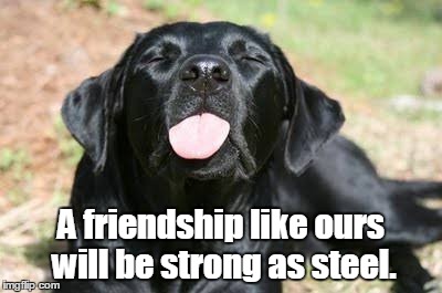 Tongue | A friendship like ours will be strong as steel. | image tagged in tongue | made w/ Imgflip meme maker