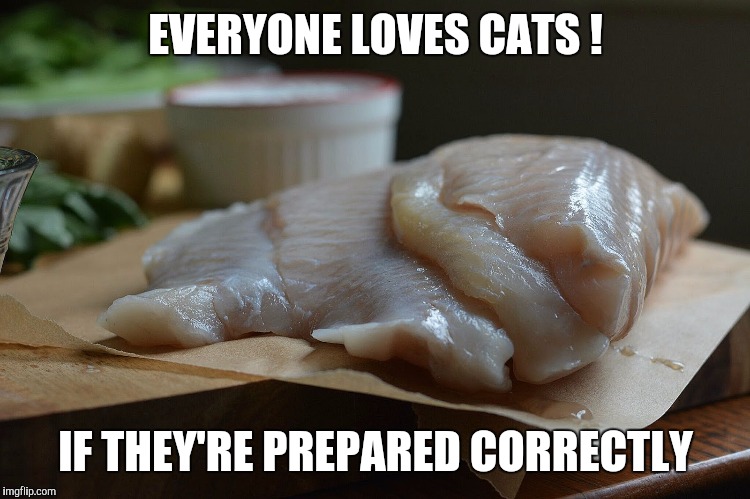 cats | EVERYONE LOVES CATS ! IF THEY'RE PREPARED CORRECTLY | image tagged in delicious cats | made w/ Imgflip meme maker