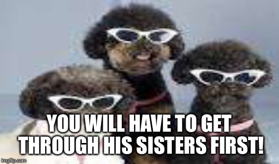 YOU WILL HAVE TO GET THROUGH HIS SISTERS FIRST! | made w/ Imgflip meme maker