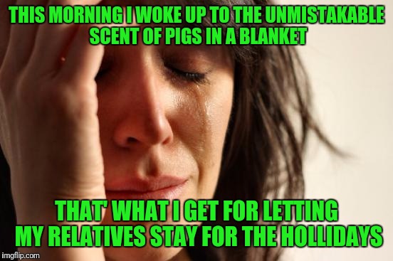 First World Problems Meme | THIS MORNING I WOKE UP TO THE UNMISTAKABLE SCENT OF PIGS IN A BLANKET; THAT' WHAT I GET FOR LETTING MY RELATIVES STAY FOR THE HOLLIDAYS | image tagged in memes,first world problems | made w/ Imgflip meme maker