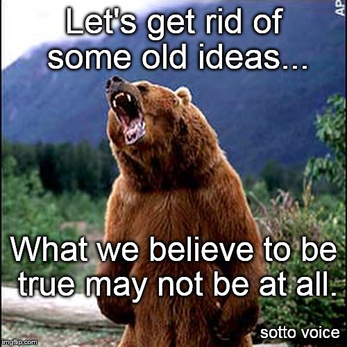 Let's get rid of some old ideas... What we believe to be true may not be at all. sotto voice | image tagged in bear | made w/ Imgflip meme maker