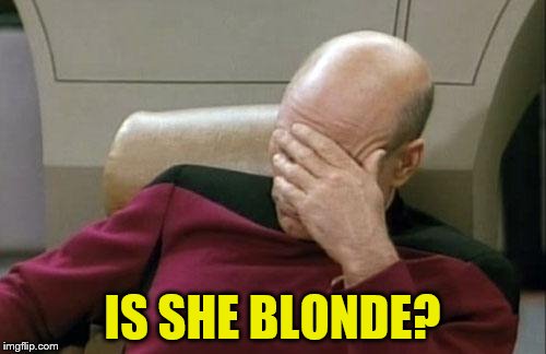 Captain Picard Facepalm Meme | IS SHE BLONDE? | image tagged in memes,captain picard facepalm | made w/ Imgflip meme maker