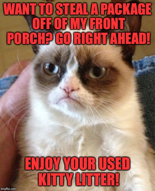 '''Tis the season! | WANT TO STEAL A PACKAGE OFF OF MY FRONT PORCH? GO RIGHT AHEAD! ENJOY YOUR USED KITTY LITTER! | image tagged in memes,grumpy cat | made w/ Imgflip meme maker
