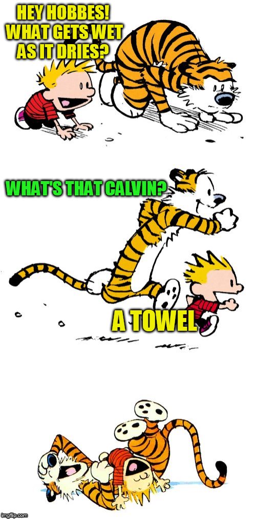 Calvin and Hobbes Puns | HEY HOBBES! WHAT GETS WET AS IT DRIES? WHAT'S THAT CALVIN? A TOWEL | image tagged in calvin and hobbes puns,jokes,towels,funny memes,puns,calvin and hobbes | made w/ Imgflip meme maker