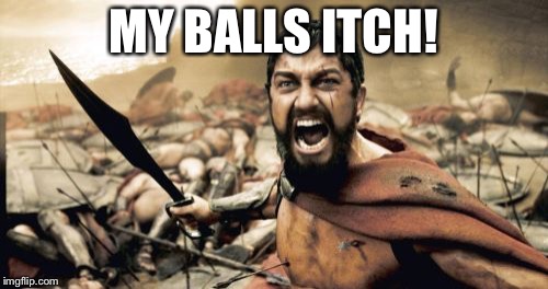 Sparta Leonidas | MY BALLS ITCH! | image tagged in memes,sparta leonidas | made w/ Imgflip meme maker