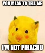 You mean to tell me | YOU MEAN TO TELL ME; I'M NOT PIKACHU | image tagged in confused pikachu rat | made w/ Imgflip meme maker