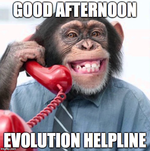 evolution helpline | GOOD AFTERNOON; EVOLUTION HELPLINE | image tagged in evolution monkey phone | made w/ Imgflip meme maker