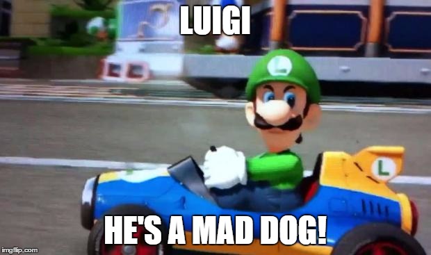 luigi death stare | LUIGI; HE'S A MAD DOG! | image tagged in luigi death stare | made w/ Imgflip meme maker