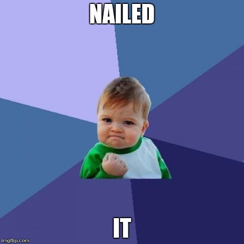 Success Kid Meme | NAILED; IT | image tagged in memes,success kid | made w/ Imgflip meme maker