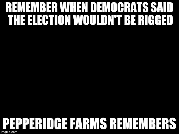 Pepperidge farms | REMEMBER WHEN DEMOCRATS SAID THE ELECTION WOULDN'T BE RIGGED; PEPPERIDGE FARMS REMEMBERS | image tagged in pepperidge farms | made w/ Imgflip meme maker