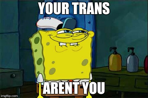 Don't You Squidward | YOUR TRANS; ARENT YOU | image tagged in memes,dont you squidward | made w/ Imgflip meme maker