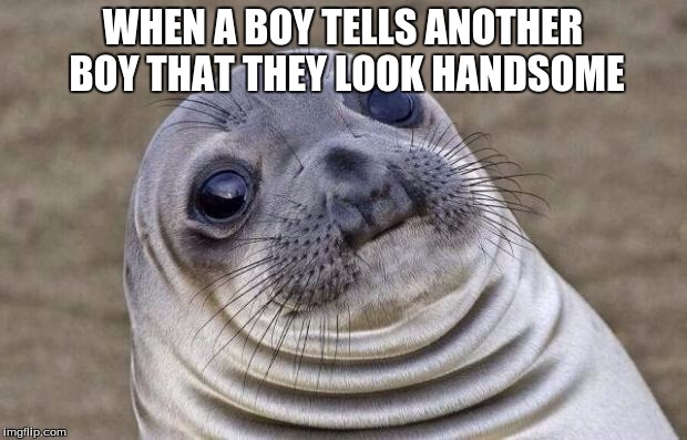 Awkward Moment Sealion | WHEN A BOY TELLS ANOTHER BOY THAT THEY LOOK HANDSOME | image tagged in memes,awkward moment sealion | made w/ Imgflip meme maker