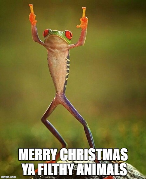 This years Christmas card | MERRY CHRISTMAS YA FILTHY ANIMALS | image tagged in memes,funny,christmas,merry christmas | made w/ Imgflip meme maker