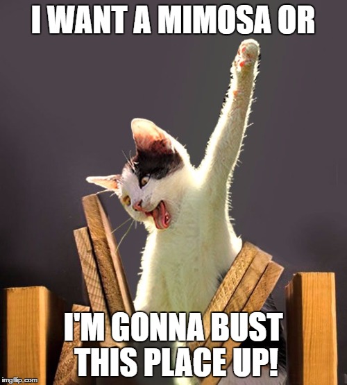 I WANT A MIMOSA OR I'M GONNA BUST THIS PLACE UP! | made w/ Imgflip meme maker