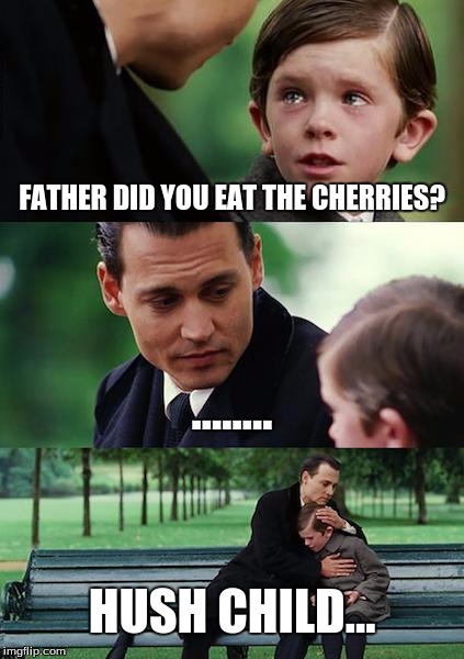 Finding Neverland Meme | FATHER DID YOU EAT THE CHERRIES? ........ HUSH CHILD... | image tagged in memes,finding neverland | made w/ Imgflip meme maker