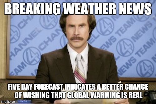 Ron Burgundy | BREAKING WEATHER NEWS; FIVE DAY FORECAST INDICATES A BETTER CHANCE OF WISHING THAT GLOBAL WARMING IS REAL | image tagged in memes,ron burgundy | made w/ Imgflip meme maker