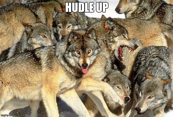 wolfs | HUDLE UP | image tagged in wolfs | made w/ Imgflip meme maker