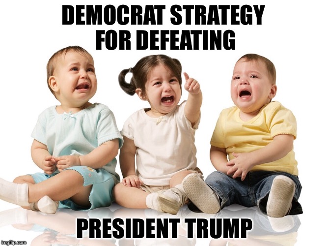 Democrat strategy | DEMOCRAT STRATEGY FOR DEFEATING; PRESIDENT TRUMP | image tagged in election 2016 | made w/ Imgflip meme maker