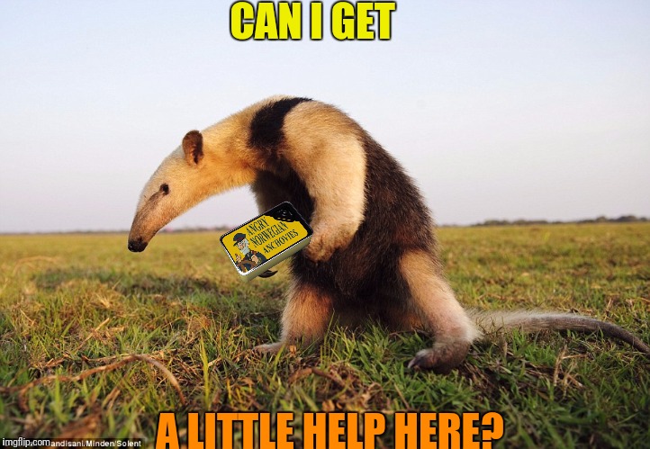CAN I GET A LITTLE HELP HERE? | made w/ Imgflip meme maker