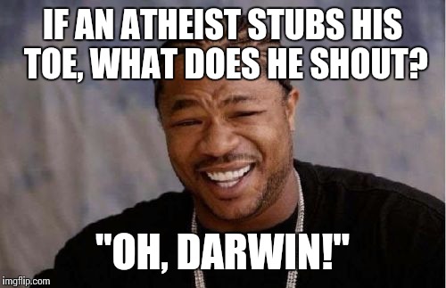 Yo Dawg Heard You | IF AN ATHEIST STUBS HIS TOE, WHAT DOES HE SHOUT? "OH, DARWIN!" | image tagged in memes,yo dawg heard you | made w/ Imgflip meme maker
