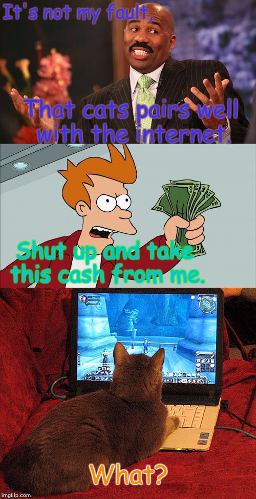 Cats pair well with the internet | It's not my fault, That cats pairs well with the internet. Shut up and take this cash from me. What? | image tagged in cats on the internet,steve harvey,shut up and take my money fry,internet,cat | made w/ Imgflip meme maker