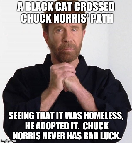 Chuck Norris | A BLACK CAT CROSSED CHUCK NORRIS' PATH; SEEING THAT IT WAS HOMELESS, HE ADOPTED IT.  CHUCK NORRIS NEVER HAS BAD LUCK. | image tagged in memes,chuck norris,cats | made w/ Imgflip meme maker