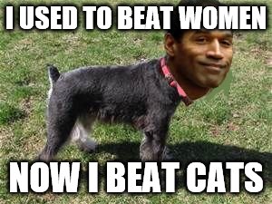 OJ is a dog  | I USED TO BEAT WOMEN; NOW I BEAT CATS | image tagged in ojdoggie | made w/ Imgflip meme maker