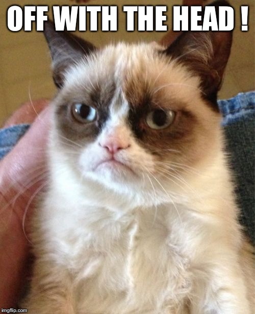 Grumpy Cat Meme | OFF WITH THE HEAD ! | image tagged in memes,grumpy cat | made w/ Imgflip meme maker