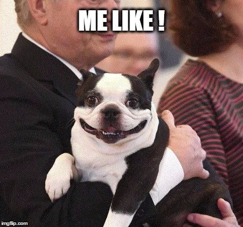 Smiling dog | ME LIKE ! | image tagged in dog smile like | made w/ Imgflip meme maker