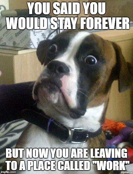 crazy dog | YOU SAID YOU WOULD STAY FOREVER; BUT NOW YOU ARE LEAVING TO A PLACE CALLED ''WORK'' | image tagged in crazy dog | made w/ Imgflip meme maker