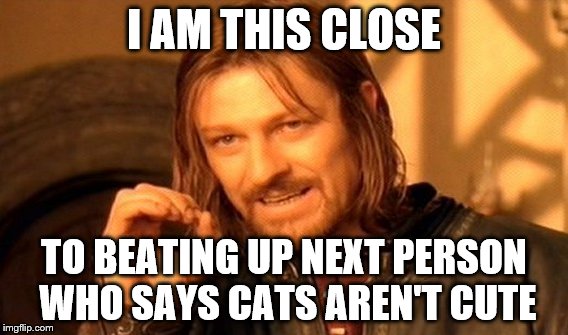 One Does Not Simply Meme | I AM THIS CLOSE; TO BEATING UP NEXT PERSON WHO SAYS CATS AREN'T CUTE | image tagged in memes,one does not simply | made w/ Imgflip meme maker