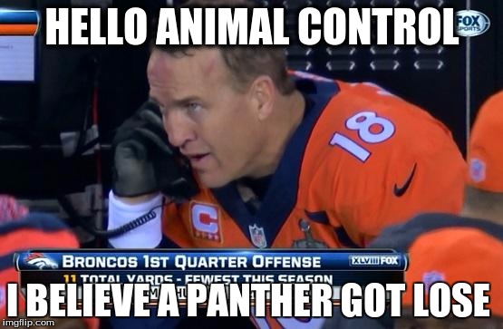 http://larrybrownsports.com/wp-content/uploads/2014/02/peyton-ma | HELLO ANIMAL CONTROL; I BELIEVE A PANTHER GOT LOSE | image tagged in http//larrybrownsportscom/wp-content/uploads/2014/02/peyton-ma | made w/ Imgflip meme maker