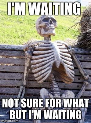 Waiting Skeleton | I'M WAITING; NOT SURE FOR WHAT BUT I'M WAITING | image tagged in memes,waiting skeleton | made w/ Imgflip meme maker