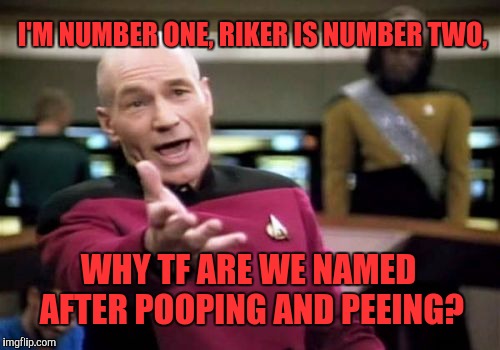 Picard Wtf Meme | I'M NUMBER ONE, RIKER IS NUMBER TWO, WHY TF ARE WE NAMED AFTER POOPING AND PEEING? | image tagged in memes,picard wtf | made w/ Imgflip meme maker