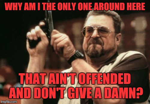 Am I The Only One Around Here Meme | WHY AM I THE ONLY ONE AROUND HERE; THAT AIN'T OFFENDED AND DON'T GIVE A DAMN? | image tagged in memes,am i the only one around here | made w/ Imgflip meme maker